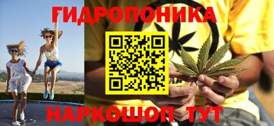 дмт Донской