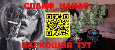 дмт Донской