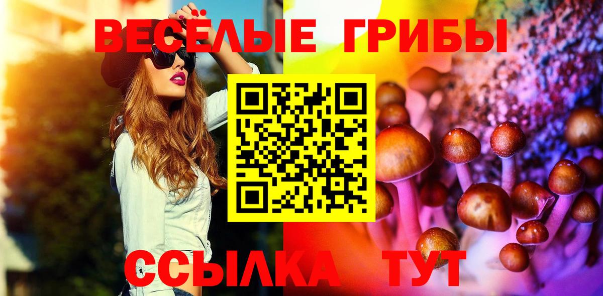 Лесосибирск  Псилоцибиновые грибы ЛСД  Вход с VPN 